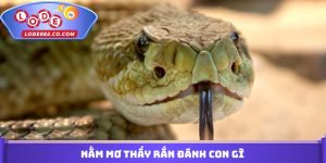 Nằm Mơ Thấy Rắn Đánh Con Gì
