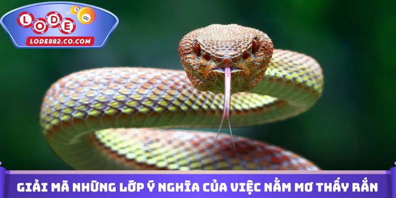Giải mã những lớp ý nghĩa của việc nằm mơ thấy rắn đánh con gì