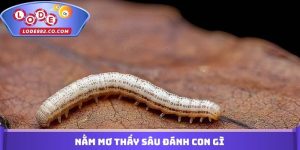 Nằm Mơ Thấy Sâu Đánh Con Gì