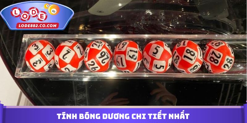 Tính bóng dương chi tiết nhất